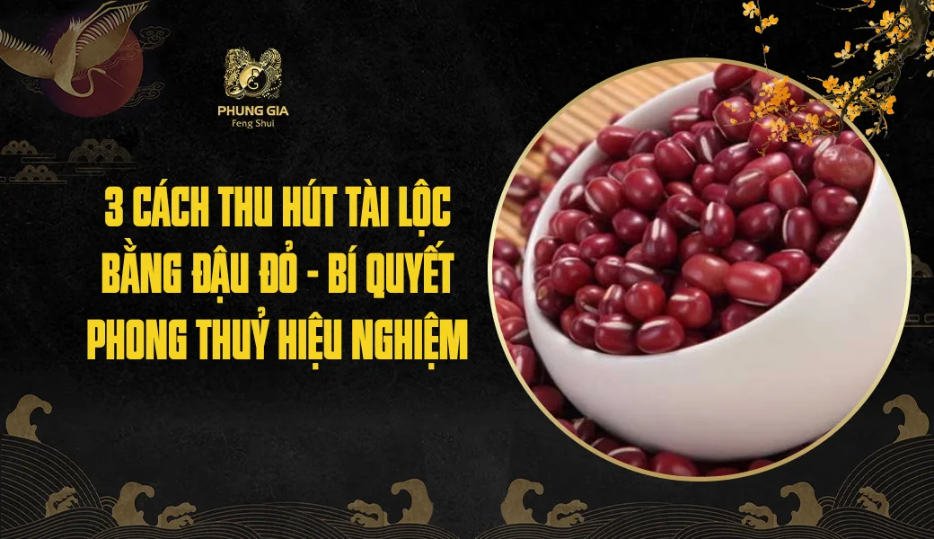 3 cách thu hút tài lộc bằng đậu đỏ - Bí quyết phong thuỷ hiệu nghiệm